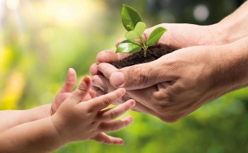 Hände halten Erde und Pflanze; ⓒ iStock.com/RomoloTavani